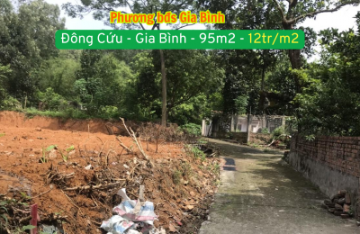 Bán đất sân bay Gia Bình - 12tr/m2 - Đông Cứu